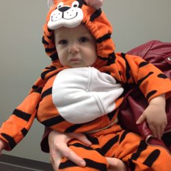 Orion Family Spinal Center - Sometimes baby tigers get subluxations too!