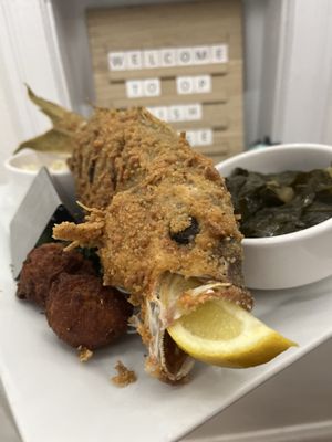 OP Fish House and Oyster Bar by null