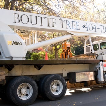 Boutte Tree - Tree Services Near Me - Atlanta, Georgia Boutte Tree - Tree Services Near Me - Atlanta, Georgia