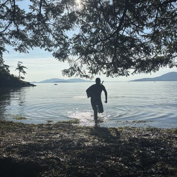 Larrabee State Park - Swim time! - Parks Near Me - Bellingham, Washington Larrabee State Park - Swim time! - Parks Near Me - Bellingham, Washington