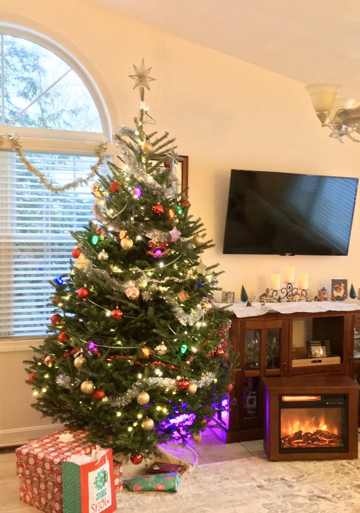 MIKE’S TREE FARM Updated October 2024 13 Photos & 20 Reviews 1705