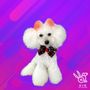 Gio’s Pet grooming studio