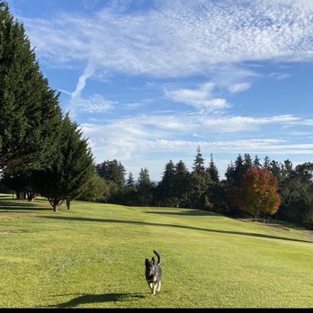 SPRING HILLS GOLF COURSE Updated October 2025 13 Photos 26