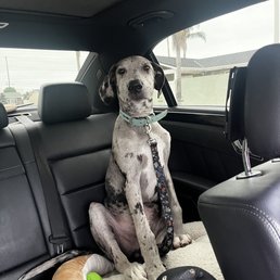 Hardy super excited to visit Uptown! Hardy super excited to visit Uptown!