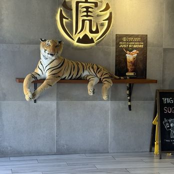Tiger Sugar - Coffee & Tea Near Me - Hollywood, Florida Tiger Sugar - Coffee & Tea Near Me - Hollywood, Florida