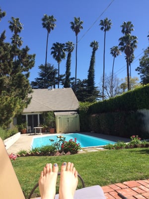 Dresden's Bed and Breakfast by null