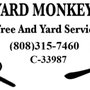 Photo of Backyard Monkey