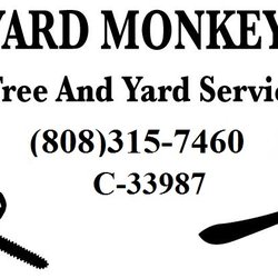 Backyard Monkey