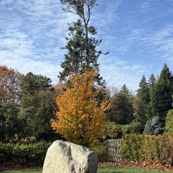 Kubota Garden - Super tall tree in the garden - Botanical Gardens Near Me - Seattle, Washington
