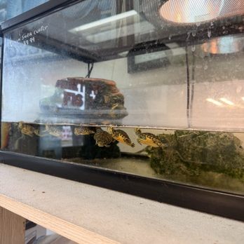 Some Things Fishy - Pet Stores Near Me - North Miami, Florida Some Things Fishy - Pet Stores Near Me - North Miami, Florida