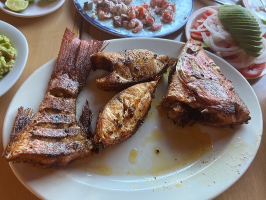 El Grillo Marinero by null