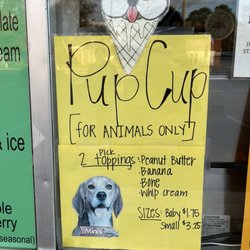 Pup cup!