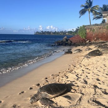 Kaulahao Beach - Beaches Near Me - Paia, Hawaii Kaulahao Beach - Beaches Near Me - Paia, Hawaii