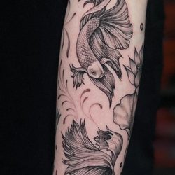 First Class Tattoo - Beta fish and lotus flowers tattoos