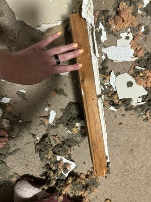 The Jander Group Inc