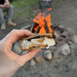 The Old Log Resort