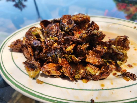 The Black Twig by null