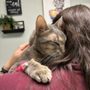 Animal Emergency Room