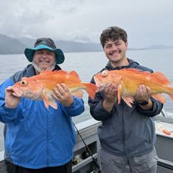 Legacy Fishing Adventures - Yellow eyed Rockfish everywhere.