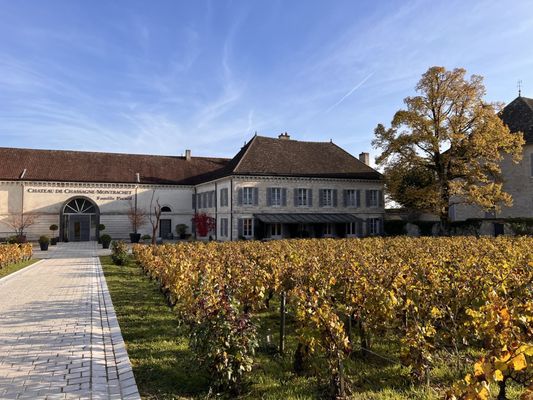 Château de Chassagne-Montrachet by null