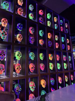 Salt Tacos y Tequila by null