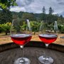 Photo of River's Edge Winery