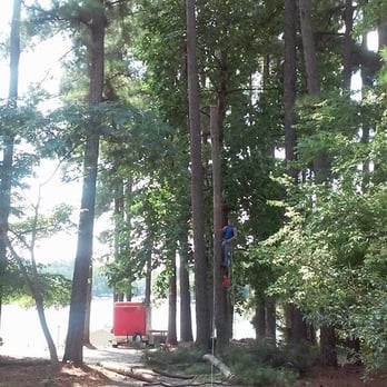 Apex Outdoor Tree Services - Tree Services Near Me Apex Outdoor Tree Services - Tree Services Near Me