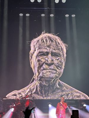 Red Bull Arena by null