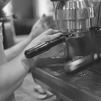 Velvet Sip Cafe - Coffee & Tea Near Me - Everett, Washington Velvet Sip Cafe - Coffee & Tea Near Me - Everett, Washington