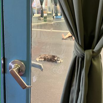 Funky Door  - Yoga Near Me - Berkeley, California