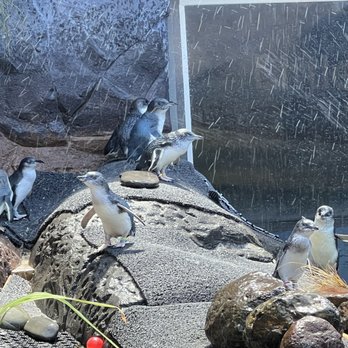 International Antarctic Centre - Museums Near Me - Christchurch, CAN International Antarctic Centre - Museums Near Me - Christchurch, CAN