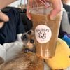 Big Pups Coffee Company gift card