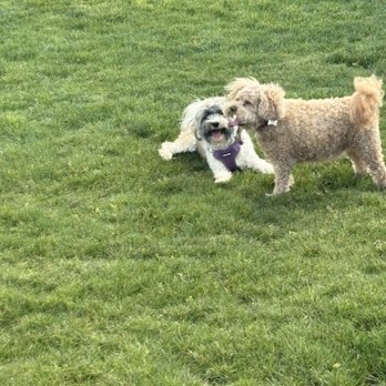 Painted Hills RV Resort - Wonderful dog park. Clean and green - RV Parks Near Me - Parowan, Utah Painted Hills RV Resort - Wonderful dog park. Clean and green - RV Parks Near Me - Parowan, Utah