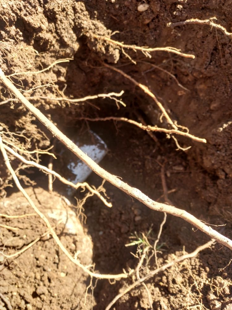 Slide of Empire Solution Contracting