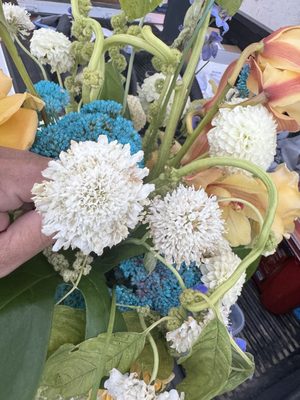 Flowerboy Project by null