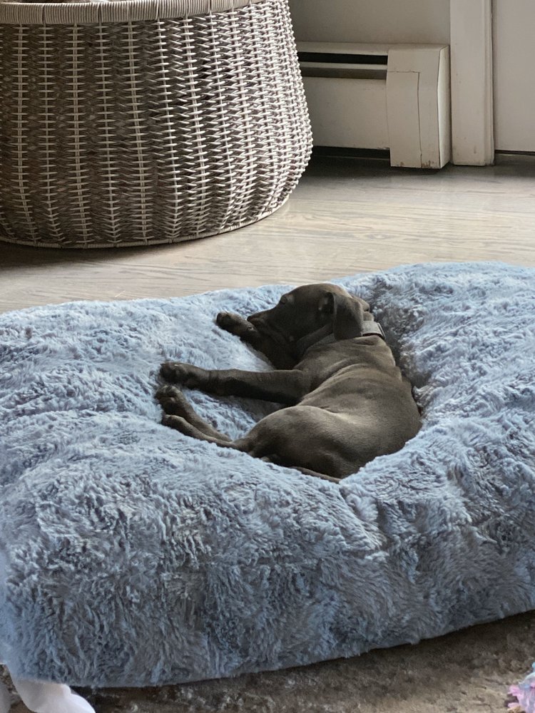 EGAPL HEART OF RI Updated June 2024 19 Photos & 30 Reviews 44