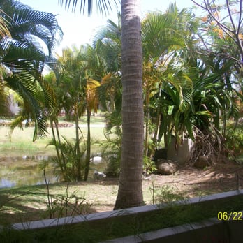 Gran Meliá - from the balcony - Resorts Near Me - Río Grande, Puerto Rico