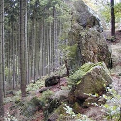 Hohler Stein
