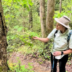 Asheville Hiking Tours