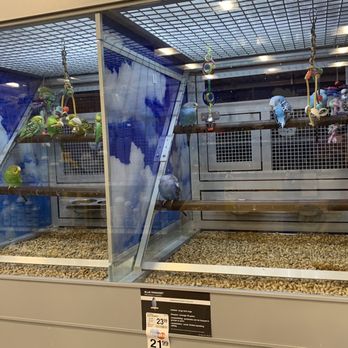 PetSmart - Parakeets - Pet Stores Near Me - MANHATTAN, New York PetSmart - Parakeets - Pet Stores Near Me - MANHATTAN, New York