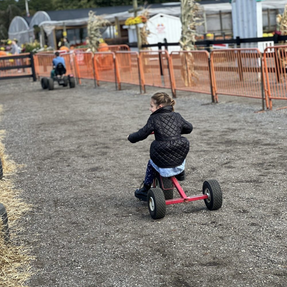 Fink's Country Farm - Mini tractors - Farmers Market Near Me - Wading River, New York Fink's Country Farm - Mini tractors - Farmers Market Near Me - Wading River, New York