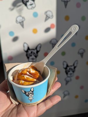 Molly Moon's Homemade Ice Cream Bellevue by null