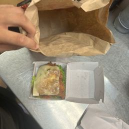 Spicy Deluxe Sandwich
