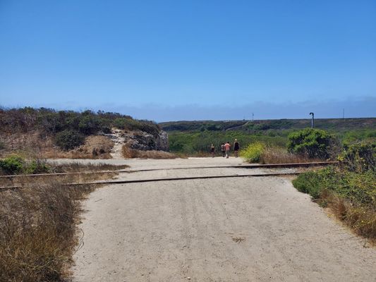 Four Mile Beach by null