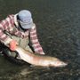 Photo of Anadromy Fly Fishing