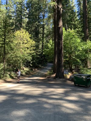 Tamolitch Falls (Blue Pool) by null