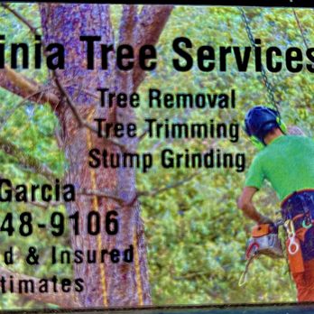 Virginia Tree Services - Tree Services Near Me Virginia Tree Services - Tree Services Near Me