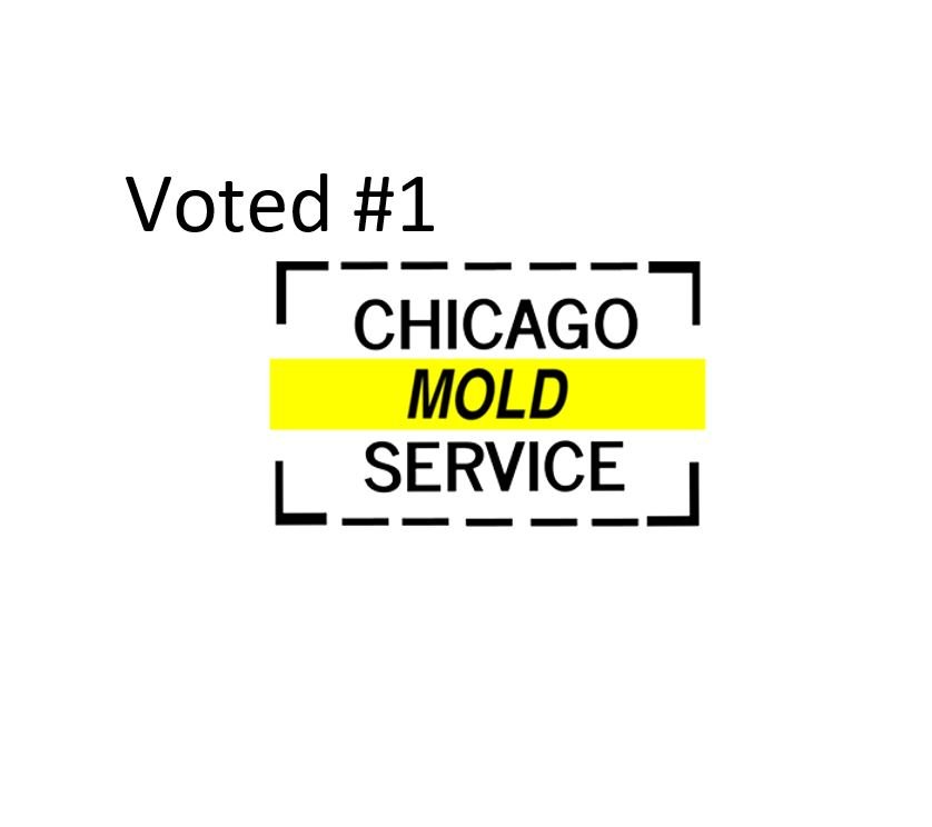 Chicago Mold Service - mold inspector in Chicago, IL