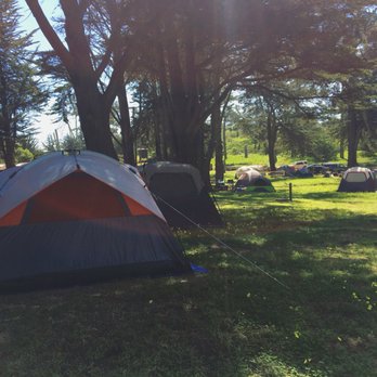 Sunset State Beach - Spring flowers on the campsite in April - Beaches Near Me - Watsonville, California