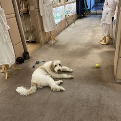 Whyte House Monograms - Mascot